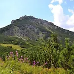 Kamzik A Drevenica Habovka