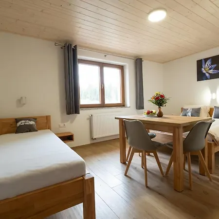 Kamzik A Drevenica Guest house 2*