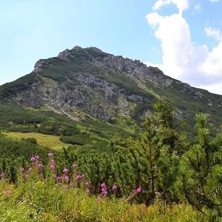 Kamzik A Drevenica Habovka