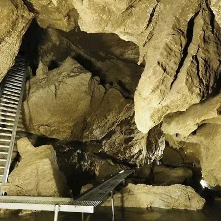 Kamzik A Drevenica Penzión pre hostí 2*