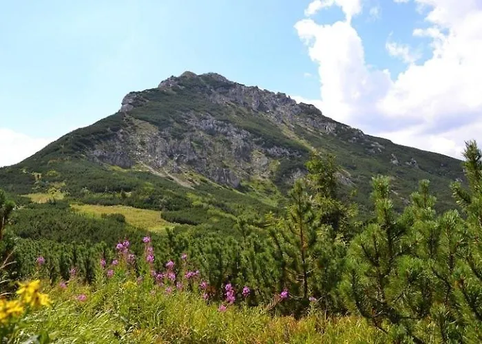 Kamzik A Drevenica Habovka